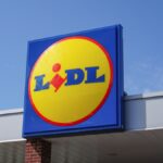 Ontdek de nieuwe tuinkist van Lidl, die praktisch en voordelig is voor 24,99€