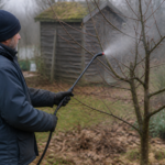 Perzikziekte: symptomen, behandeling en preventie in de tuin